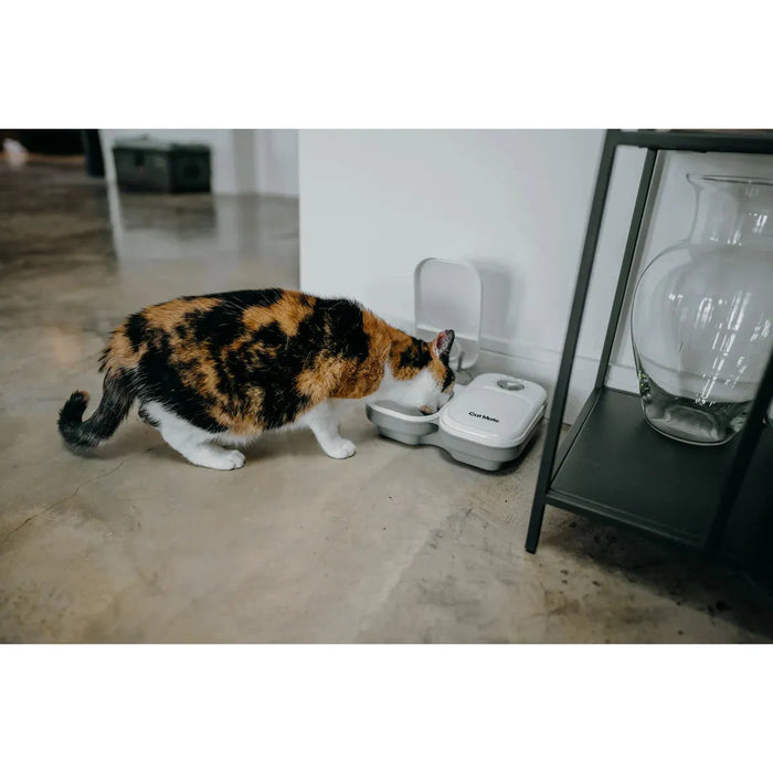 Cat Mate C200 Two Meal Automatic Dry and Wet Food Pet Feeder