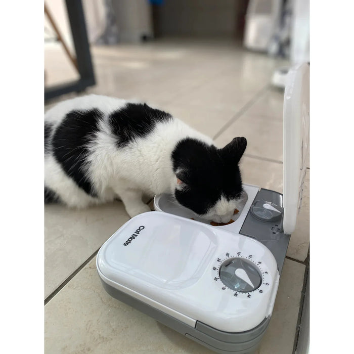 Cat Mate C200 Two Meal Automatic Dry and Wet Food Pet Feeder