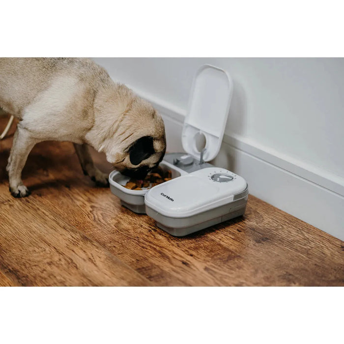 Cat Mate C200 Two Meal Automatic Dry and Wet Food Pet Feeder