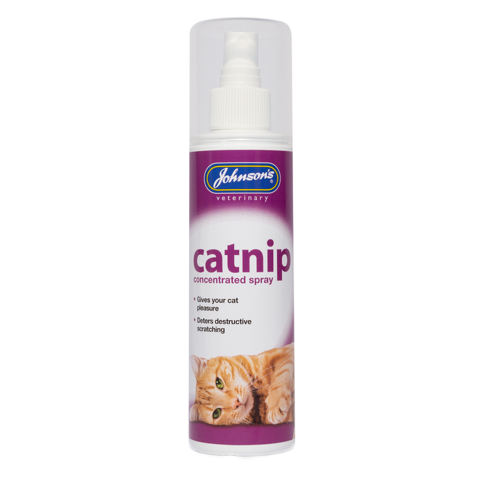 Johnsons Catnip Spray