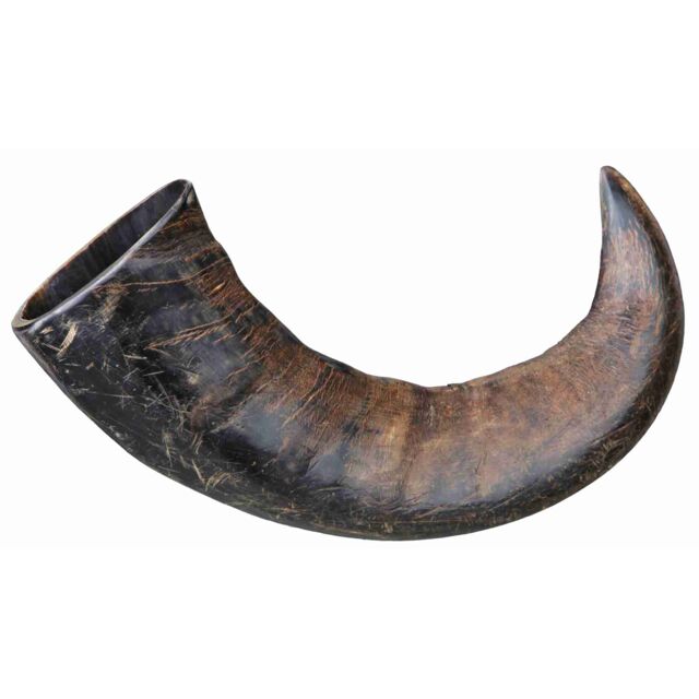 Trixie Natural Buffalo Horn