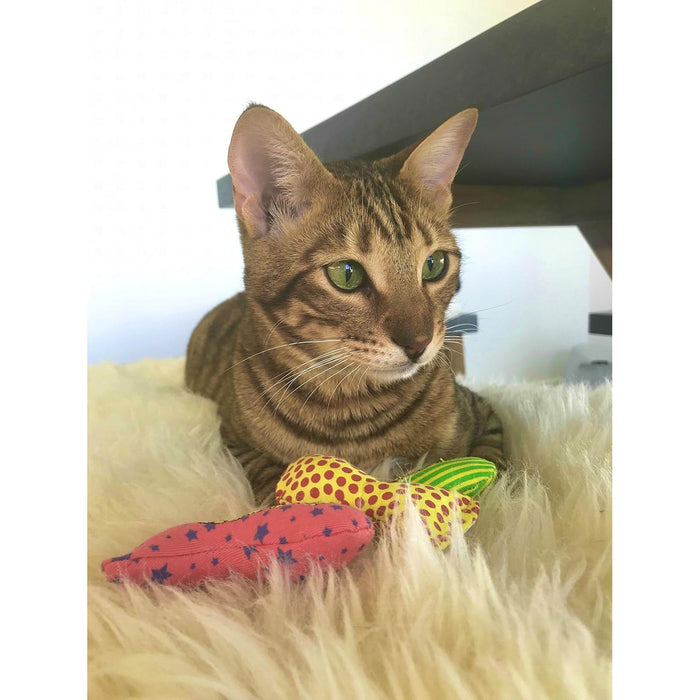 Yeowww! 1 x Pollock And 3 x Stinkies Catnip Toys