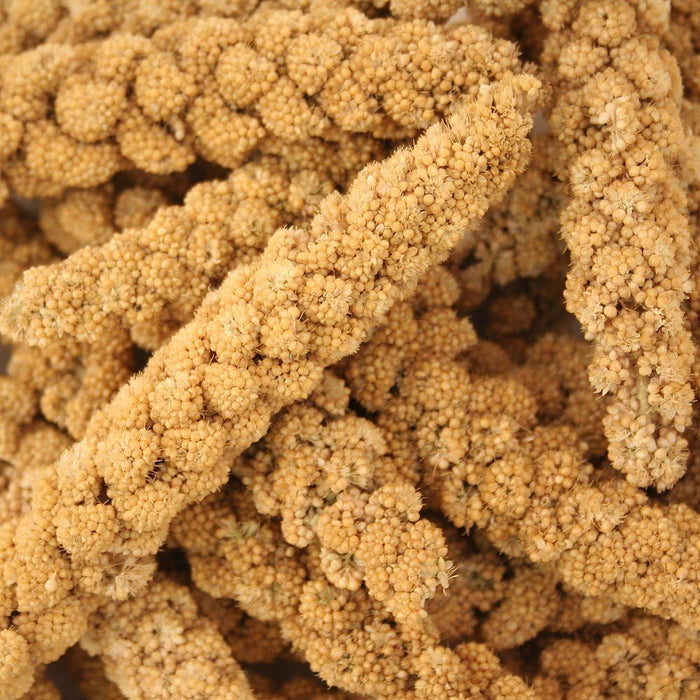 Vitakraft Vita Nature Millet Sprays 80g Case Of 10 Packs