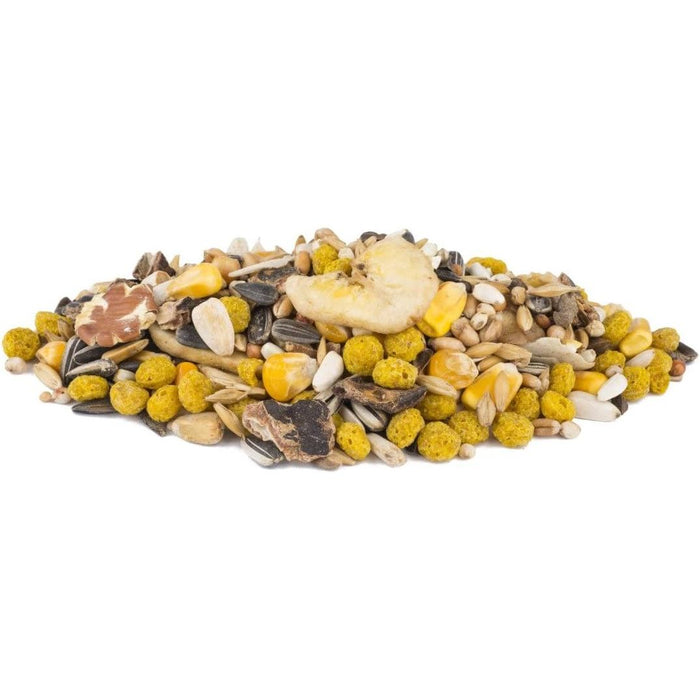 VItakraft Large Breed African Parrot Food 750g