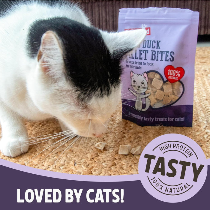 Rosewood Duck Freeze Dried Cat Treats 15g Case Of 12