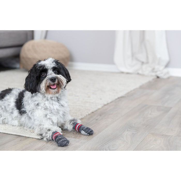 Trixie Dog Socks