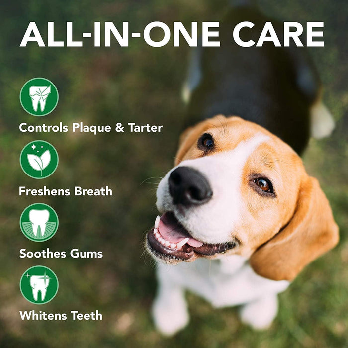 Vet's Best Dental Care Kit