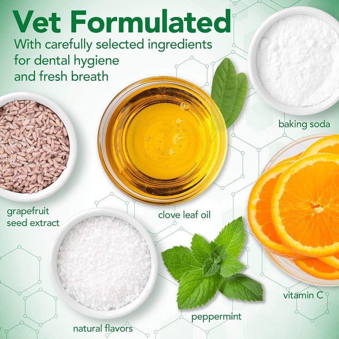 Vet's Best Dental Care Kit