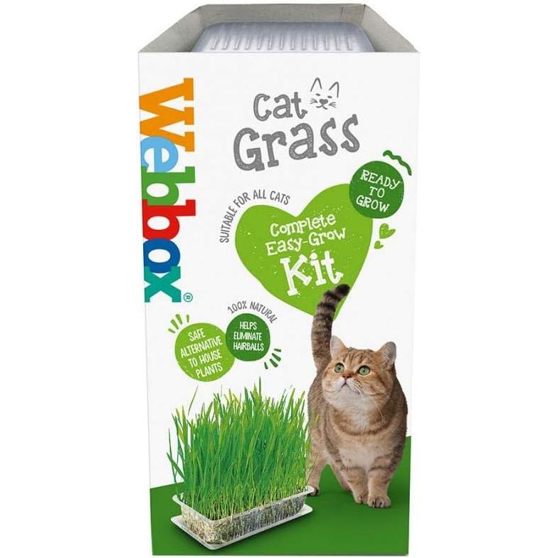 Webbox Cat Grass 120g — Pet Stuff Galore
