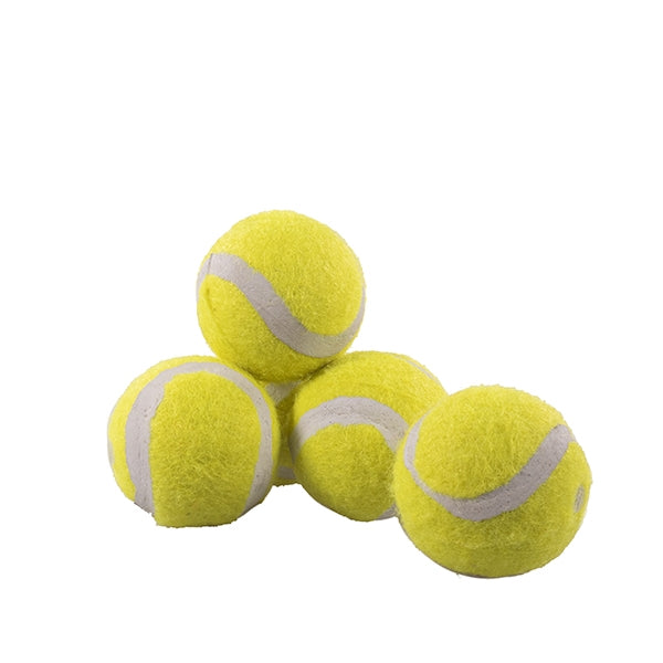 5 Mini Assorted Tennis Balls For Dogs