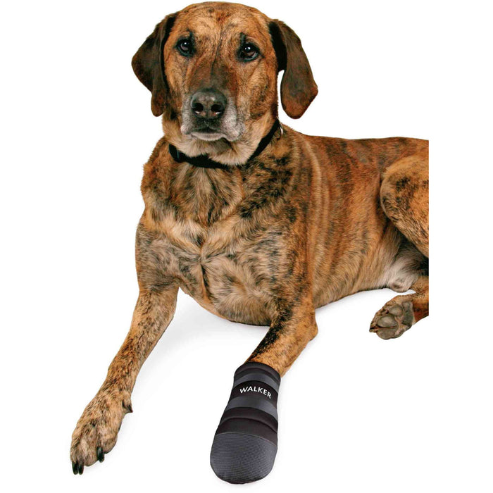 Protective Dog Boots