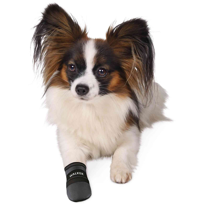 Protective Dog Boots